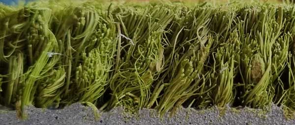 Premium Coir Roll Matting - Green 2 Premium Coir Roll Colours Green Side Profile