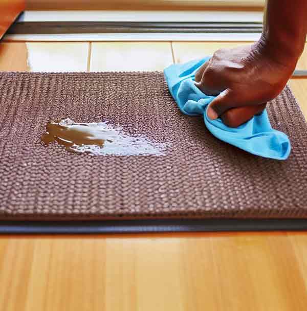 How to Clean and Maintain Your Indoor Door Mat 4 How to clean indoor mats blotting stain