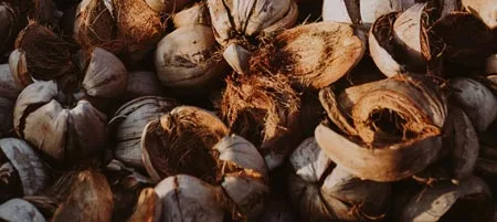 Coir Matting: The Ultimate Guide for Homes and Business Use in 2024 1 Coconut husks used to make custom coir mats