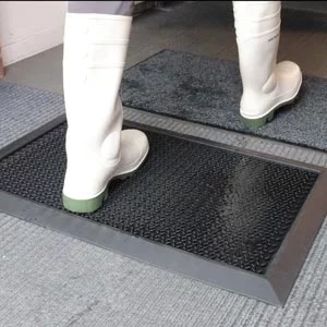 Mats for the Food Processing Industry 1 Disinfectant Mats